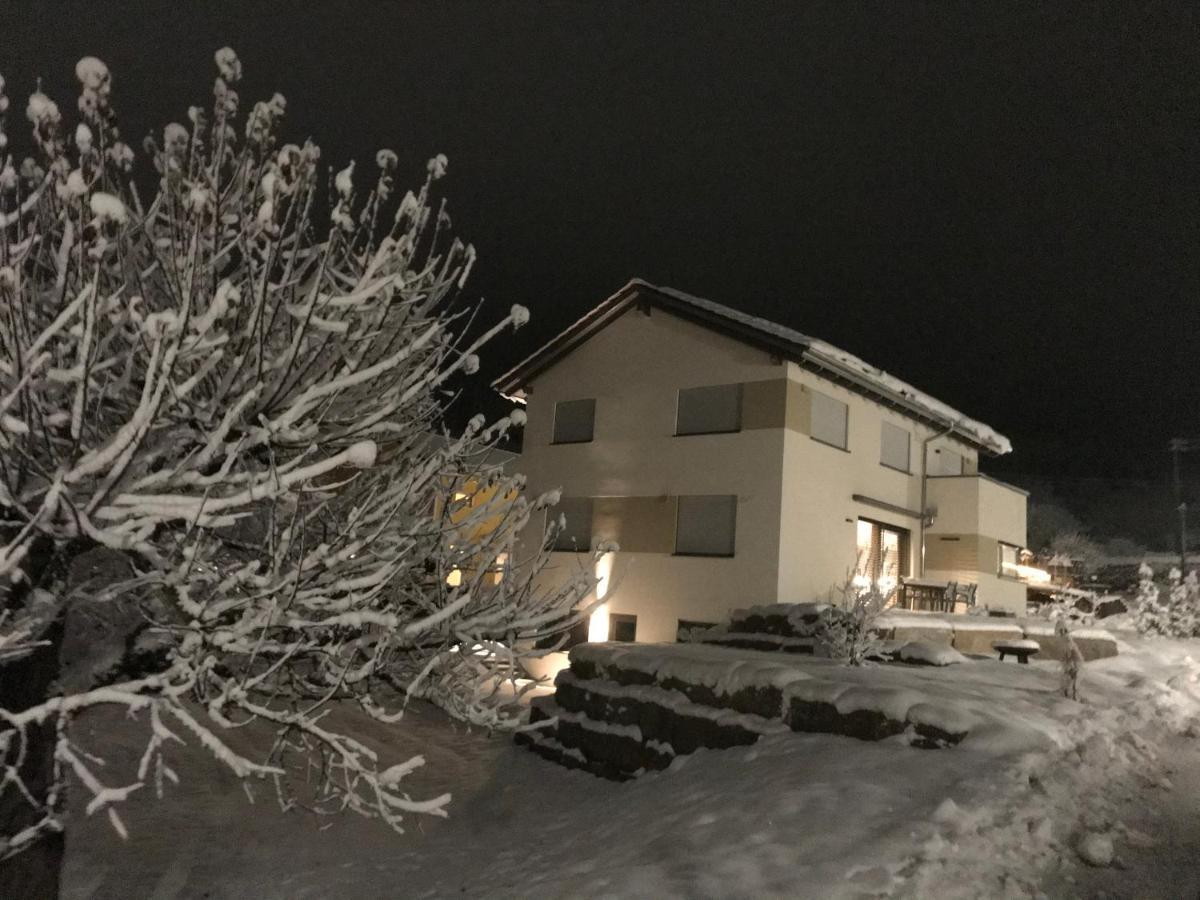 Albblick Apartment Streichen