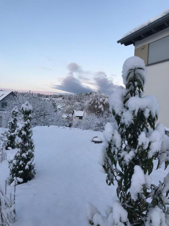 Albblick Apartment Streichen